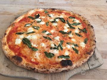 Pizzaiolo x pizza pranzo