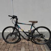 Bicicletta mountain bike