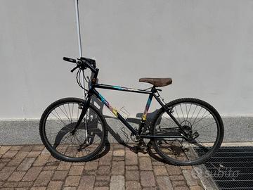 Bicicletta mountain bike