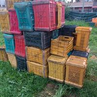 cassette per alimenti 