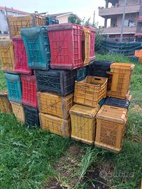 cassette per alimenti 