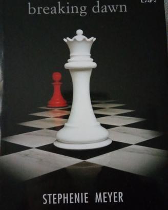 Breaking Dawn