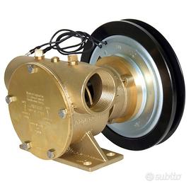 Pompa a frizione Jabsco barca