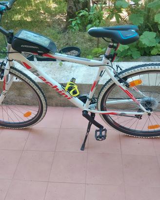 MTB Bachini pro bike 29 pollici