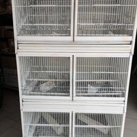 Gabbie per canarini/cocorite/diamantini