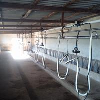 Mungitrice e refrigeratori latte