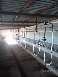 Mungitrice e refrigeratori latte