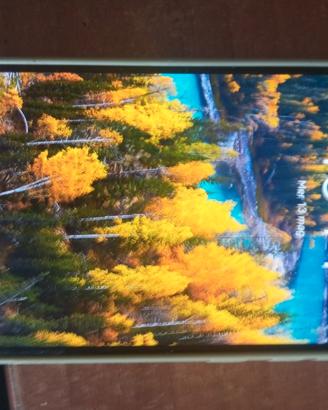 cellulare Hawaii p30 
