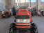 Immagine 6