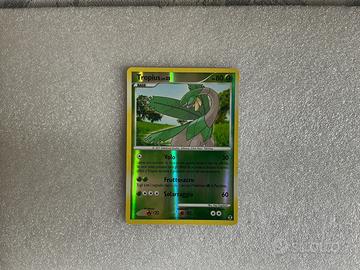 Carta holo pokemon  Tropius