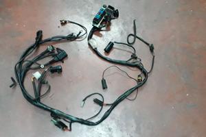 cablaggio DUCATI MONSTER 600 750 900 prima serie