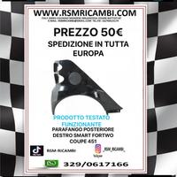 PARAFANGO POSTERIORE DESTRO SMART 451