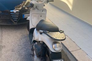 Vendita scarabeo modello 2018