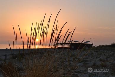 Accogliente appartamento a due passi dal mare