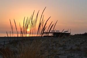Accogliente appartamento a due passi dal mare