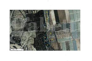 Terreno Agricolo Montemesola [Cod. rif 3288932VRG]