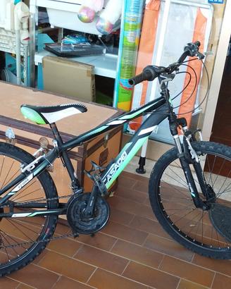 bicicletta 