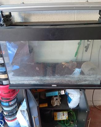 acquario