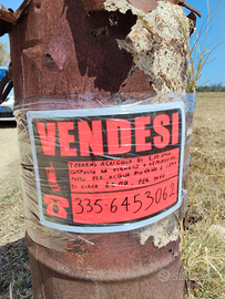 Terreno agricolo con vigneto