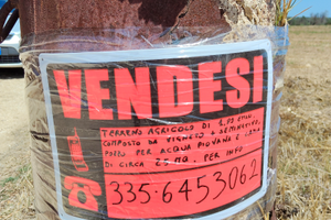 Terreno agricolo con vigneto