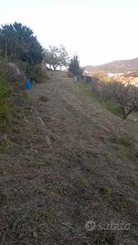 Terreno di 1200mq. In via Carrara VADO LIGURE