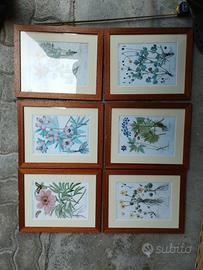 set 6 cornici vintage in legno con stampe fiori 