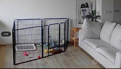 Recinto kennel cucciolo 7 pezzi 80x80 più porta