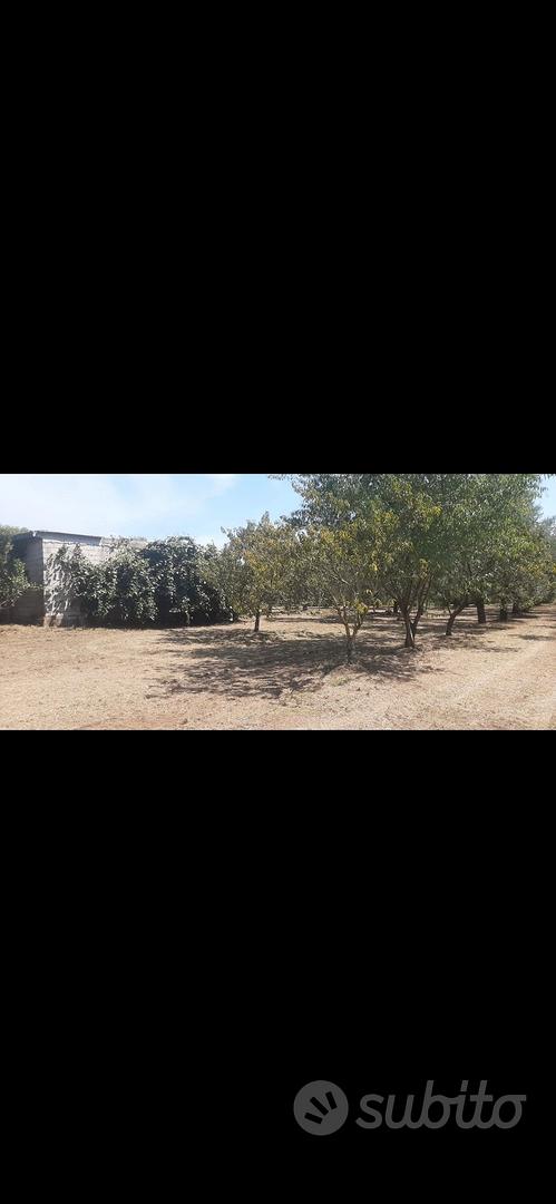 terreno con rustico - Vista 5