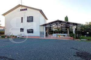 Casa Indipendente Grosseto [025/F050VRG]