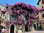 Immagine 29