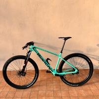 Bianchi methanol cv rs