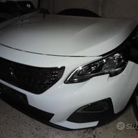 Musata peugeot 3008 dal 2016