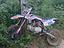 Immagine 1