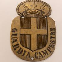  Vecchia medaglia/ fregio