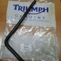 T2101610 Tubo Radiatore Triumph motore 1050