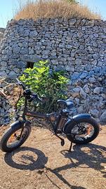 fatbike Smartway M1 plus computer di bordo