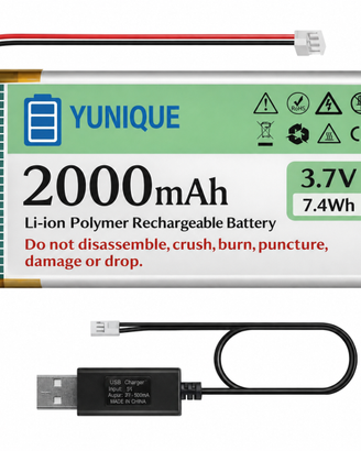 Batteria LiPo 3.7V 2000mAh con Caricatore USB
