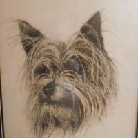 quadro con disegno Yorkshire 