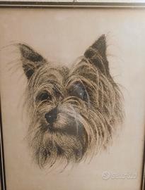 quadro con disegno Yorkshire 