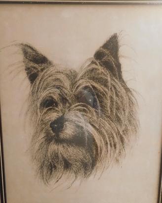 quadro con disegno Yorkshire 