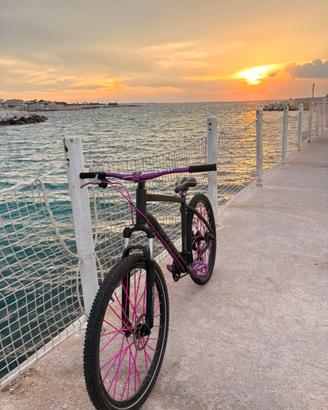 Mountain bike ST 520 XL