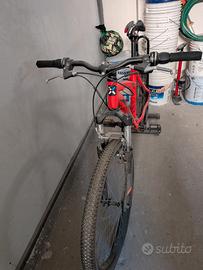 bicicletta