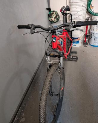 bicicletta