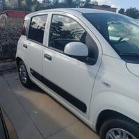 Fiat Panda 1.2 benzina 2019