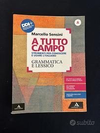 A TUTTO CAMPO- grammatica e lessico