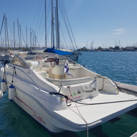 Cranchi Perla 25