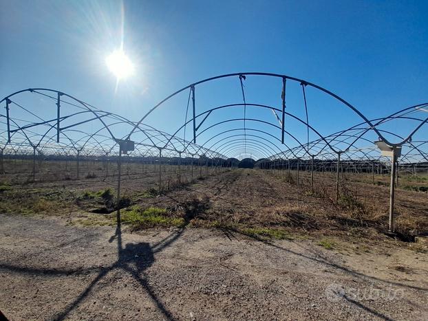 Azienda agricola con im pianto serricolo