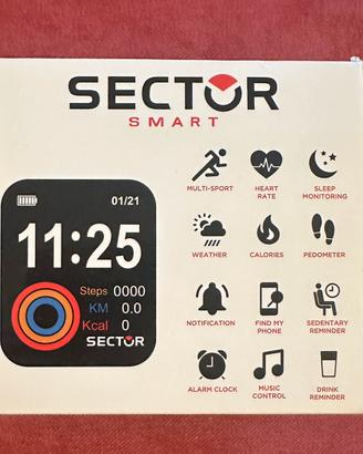 Smartwatch Sector