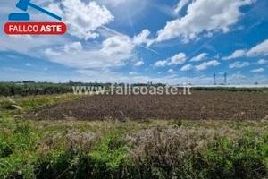 TRIBUNALE DI SALERNO - RG 280/2024 Terreno in asta