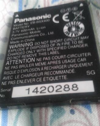 Caricabatteria Panasonic e batteria